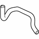 GM 15743013 Upper Hose