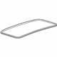 GM 95319028 Glass Weatherstrip