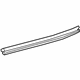 GM 42440828 Belt Weatherstrip, Rear Driver Side