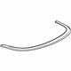 GM 13371123 Molding, Top