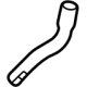 GM 55508978 Lower Hose