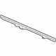 GM 13366917 Retaining Strip, Driver Side