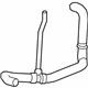 GM 23409122 Lower Hose