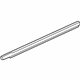 GM 22855199 Belt Weatherstrip, Rear Passenger Side