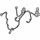 GM 20812405 Wire Harness, Rear Driver Side