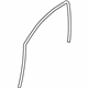 GM 13290344 Run Weatherstrip, Front Passenger Side