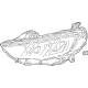 GM 39217215 Headlamp Assembly, Driver Side