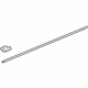 GM 20830938 Lower Weatherstrip, Passenger Side
