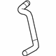 GM 15294029 Lower Hose