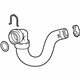 GM 39057860 Outlet Hose, Lower