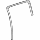 GM 42550303 Run Weatherstrip, Rear Driver Side