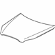 GM 19354867 Hood