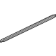GM 23460171 Belt Weatherstrip, Front Driver Side