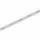 GM 23111236 Retaining Strip, Outer Passenger Side