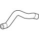 GM 85522402 Lower Hose