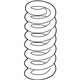 GM 25798541 Coil Spring, Rear