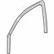 GM 25849240 Run Weatherstrip, Front Outer Passenger Side GM 25849240 Run Weatherstrip, Front Outer Passenger Side