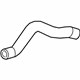 GM 85510509 Lower Hose