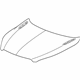 GM 23392595 Hood