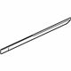 GM 22798884 Body Side Molding, Rear Driver Side
