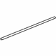 GM 15116981 Lower Weatherstrip, Passenger Side
