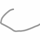 GM 23438151 Front Weatherstrip