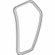 GM 15907479 Surround Weatherstrip