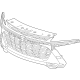 GM 42862301 Grille Assembly, Front