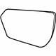 GM 23121712 Mirror Glass, Rear Driver Side