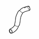 GM 26223356 Lower Hose