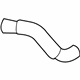 GM 15057982 Lower Hose GM 15057982 Lower Hose