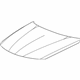 GM 19417350 Hood