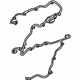 GM 20921275 Wire Harness, Rear