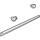 GM 22760479 Body Side Molding, Rear Driver Side