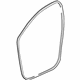 GM 20944472 Weatherstrip On Body