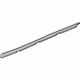 GM 23442262 Belt Molding, Front Driver Side