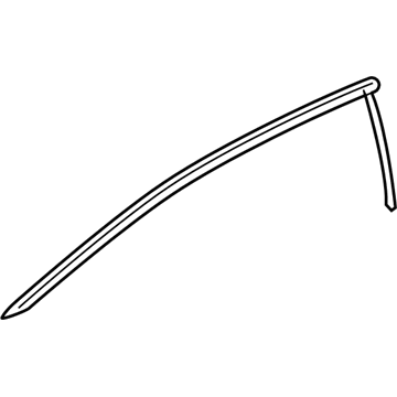 Pontiac G6 Weather Strip - 25920674