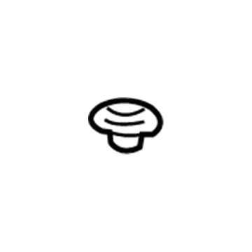 GM 52487557 Radiator Lower Insulator 52487557 GM Radiator Lower Insulator Illustration 1 of 1