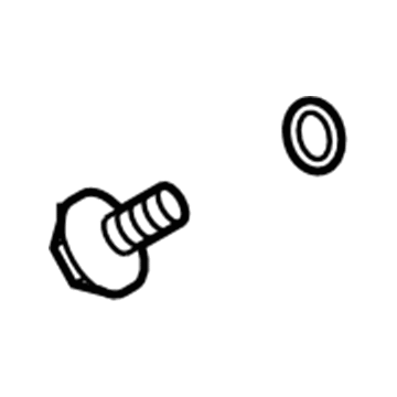 Chevy Oil Drain Plug - 10953161