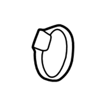 Pontiac 24507970 Inlet Duct Clamp