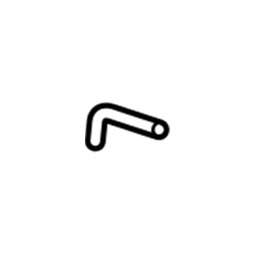 GM 25952878 By-Pass Hose, Passenger Side 25952878 GM By-Pass Hose, Passenger Side Illustration 1 of 1
