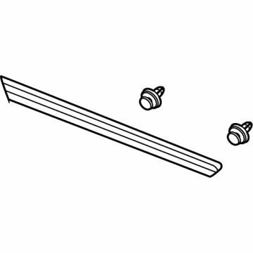 Cadillac 84276451 Body Side Molding