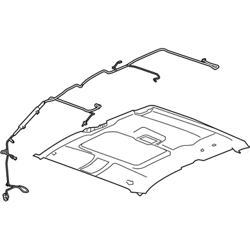 GM 20838520 Headliner 20838520 GM Headliner Illustration 1 of 1
