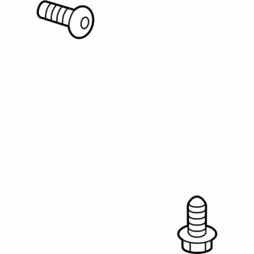 Chevy 11610043 Outer Buckle Bolt