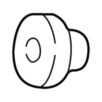 Chevy 30027277 Antenna Mast Nut