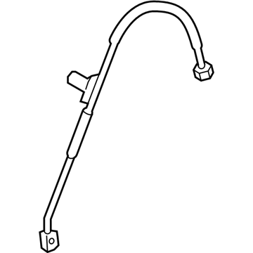19366678 GM Flex Hose, Front Passenger Side Illustration 1 of 1