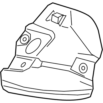 GM 55503843 Heat Shield 55503843 GM Heat Shield Illustration 1 of 1
