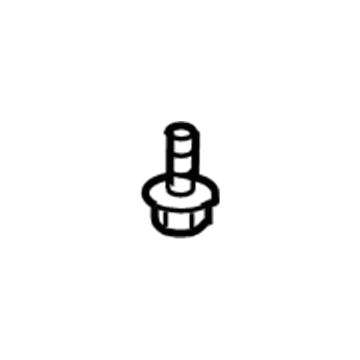 GM 22710773 Drain Tube Bolt 22710773 GM Drain Tube Bolt Illustration 1 of 1