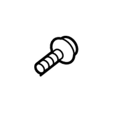 Chevy 11561763 Lower Hinge Bolt