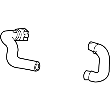 20893310 GM Inlet Hose Illustration 1 of 1